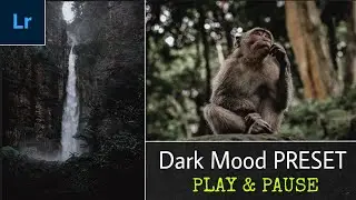 3 MENIT Preset Lightroom - Dark Mood