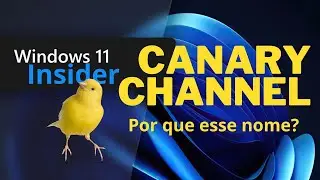 Windows Canary - Por que esse nome?