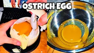 Cooking an Ostrich Egg for breakfast in my dorm room (3000 Calories)