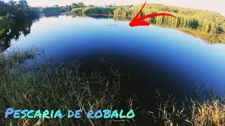 PESCARIA E ASSIM UM DIA DO PEIXE E OUTRO DO PESCADOR !! hoje foi dia do ...