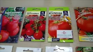 Сею томаты для раннего урожая и другие овощи и цветы. Рассада на подоконнике. Сад 6 января.