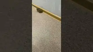 куда же она бежит?