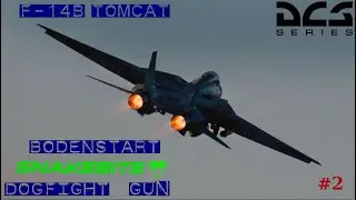 ✈ DCS | 🥽 VR |  F-14B Tomcat 😾| Bodenstart & Dogfight Gun | Gameplay | Saitek X52 Pro  Oculus Rift S