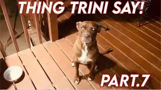 THINGS TRINI SAY PART.7