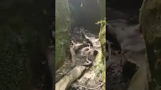 Ущелье Волчие ворота