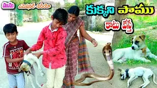 కుక్కని పాము కాటు వేస్తే || kukkani paamu katesthe || Manu videos || telugu letest all