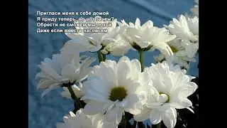 Стихи Черкашин Дмитрий - Хризантемы