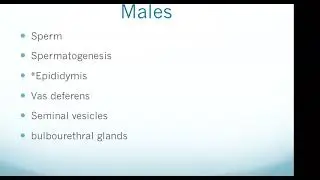 HESI A2 Exam: Reproductive System