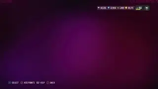 Training Variety Pack