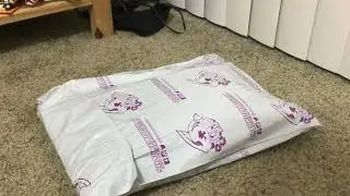 Hazbin Hotel & Helluva Boss Summer 2022 Merch Unboxing Part 2
