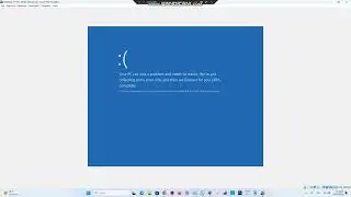 Windows 10 1511 BSOD VM #7 (My Computer and VM have BSOD #63)