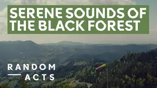 Orchestra of the Black Forest | The Forest Sings by Nick Ballón | Documentary Short | Random Acts
