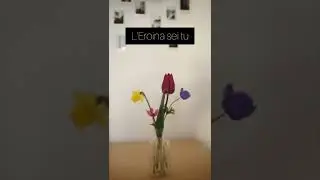 il viaggio dell'Eroina