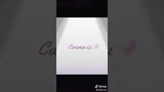 Sevgiyə aid video