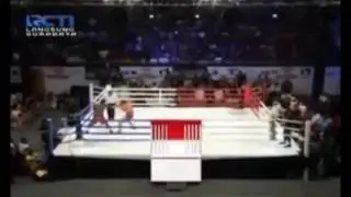 WBA BOxing Fighting