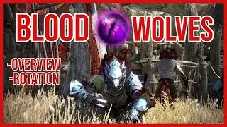 BDO Blood Wolves rotation - Infinite potion Overview 2020 ~ Ninja succession
