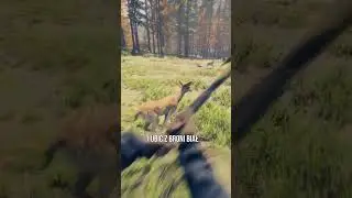 BEST WAYS TO HUNT!