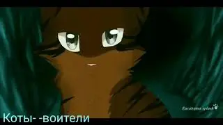 Клип коты-воители