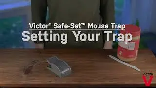 How to Use the Victor® Safe-Set™ Mouse Trap