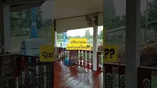 ถ้าปรับงานลง จะเหลือแค่ไหน #ชีวิตในต่างแดน #ชีวิตต้องสู้ #เกษตรพอเพียง