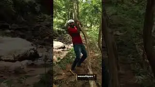മണ്ണത്തിപ്പാറ വെള്ളച്ചാട്ടം 📍 #shortvideo #trending #shorts