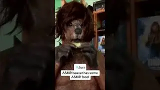 beaver video