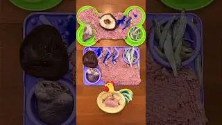 Feeding my 3 dogs their raw dog food 🥩🍄‍🟫🐟 #shorts