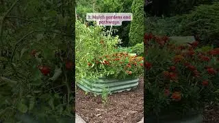 5 Tips to Create a Water-Wise Garden #shorts #ecofriendlygardening #summergarden