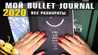 Мой ЕЖЕДНЕВНИК 2020 - заполненные РАЗВОРОТЫ