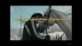 VAE VISTIC feat. Gibbs - Żyję jak chcę (SPEEDUP)