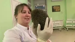 snotty hedgehog is not snotty anymore!