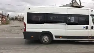 Ногир