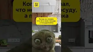 не ты,а посудомойка 