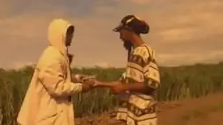 Pirataz