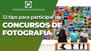 Tips para participar de CONCURSOS DE FOTOGRAFIA