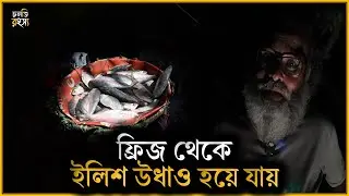 Hilsa disappears from the fridge || current mystery | horror