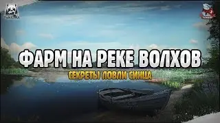 Секреты ловли Синца. Русская Рыбалка 4