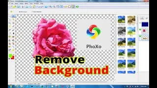 How to Remove Photo Background Using PhoXo