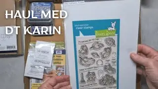 Haul med DT-Karin