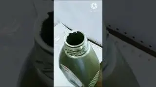 Oli nya mantap