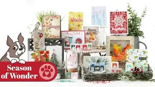 NEW Season of Wonder 2023 Collection REVEAL & Walk-through by Simon Says Stamp