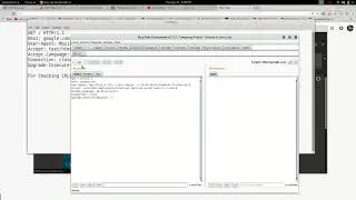 How to detect the site for CRLF Injection