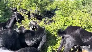 Mükemmel ötesi oldu izlemeye değer