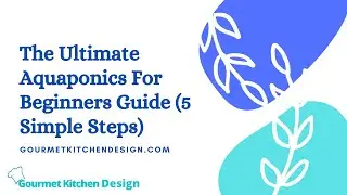 The Ultimate Aquaponics For Beginners Guide 5 Simple Steps