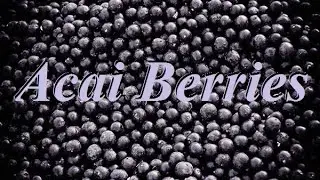 16 Health Benefits of Acai Berries