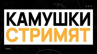Антищёчки