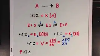 Enzim Kinetiğine Giriş (Fen Bilimleri) (Biyoloji) (Kimya)