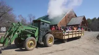 Maple to Market