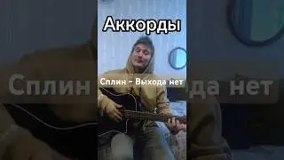 Сплин - Выхода нет #сплин #выходанет #гитара #песня #музыка #кавер #cover #music #guitar #рек #лайф