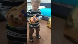 играем с собачкой #shorts #короткие_ видео